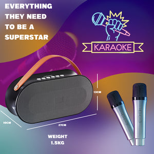 Portable Rechargeable Karaoke Machine-P10